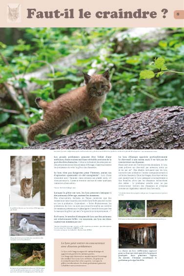 exposition Faut-il le craindre le lynx ?