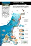 Exposition Océan Écosystème corallien et changement climatique