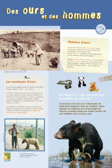 Des ours et des hommes