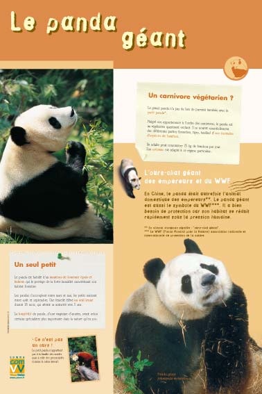 Le panda géant