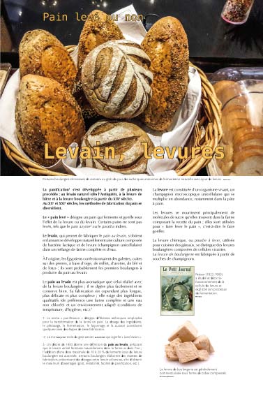 Exposition pain - Levain, levures