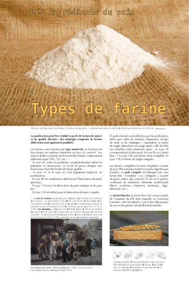 Exposition pain - Types de farine