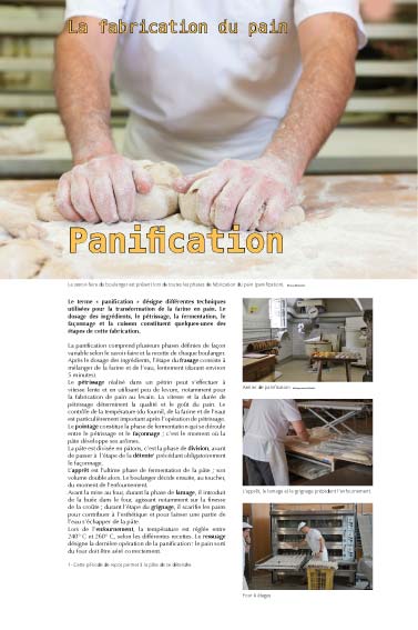 Exposition pain - Panification