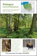 Pologne - Forêt de Bialowieza