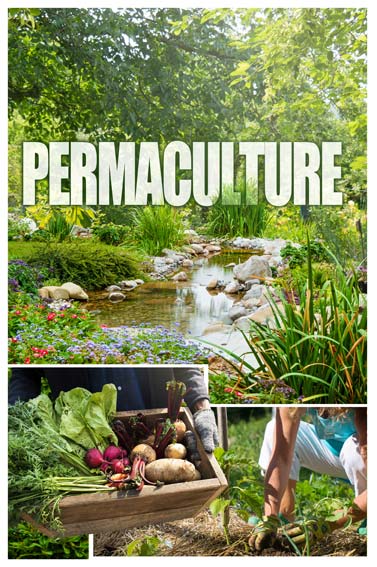 exposition Permaculture  