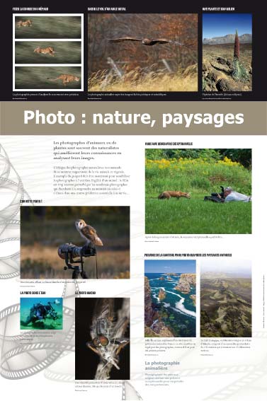 Exposition La photographie, Photo : nature, paysages