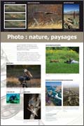 Exposition La photographie, Photo : nature, paysages