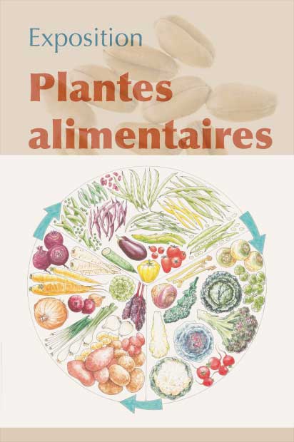 Exposition Plantes alimentaires 