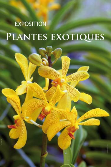 Exposition Plantes exotiques