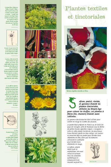 Plantes textiles et tinctoriales