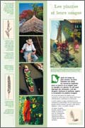 Exposition Plantes et leures usages