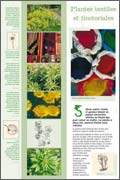 Plantes textiles et tinctoriales