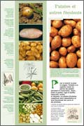 Patates et autres féculents