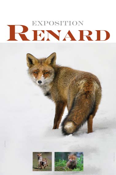 exposition renard