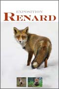 expo renard