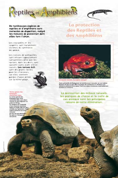 Reptiles et Amphibiens - Protection