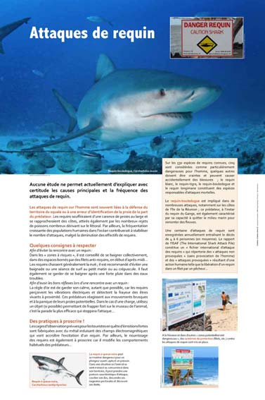 Exposition Attaques de requins