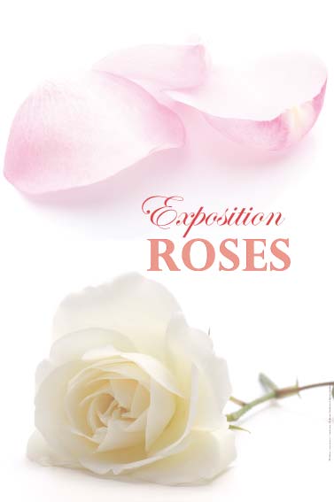 Exposition roses rosiers,