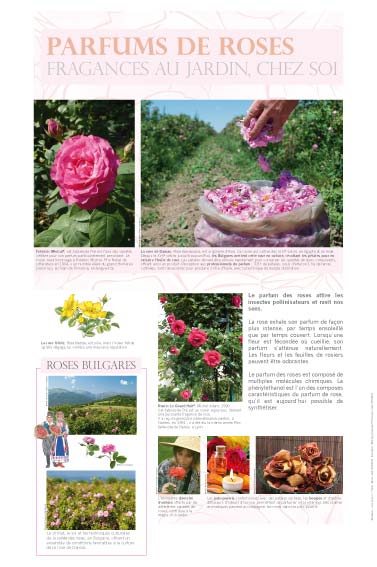 exposition Parfums de roses - Fragances au jardin, chez soi