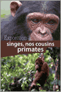 Singes, nos cousins primates