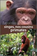 exposition Primates singes 