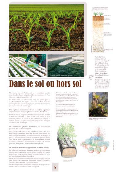 Exposition Dans le sol ou hors sol