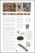 Exposition Vers et autres acteurs du sol