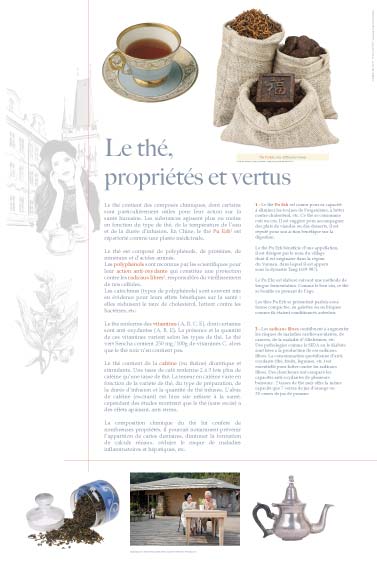 Exposition Le thé, propriétés et vertus