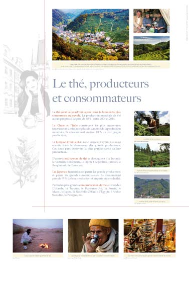 Exposition Le thé, producteurs et consommateurs