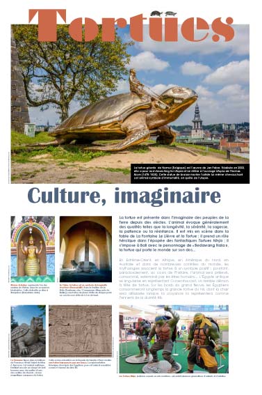 Exposition Tortues Culture, imaginaire