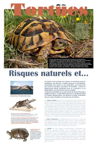 Exposition Tortues Risques naturels