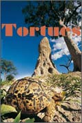 Exposition Tortues 