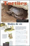 Exposition Modes de vie des tortues 