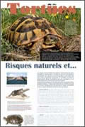 Exposition Tortues Risques naturels