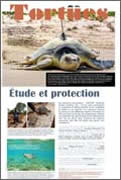 Exposition Étude et protection des tortues 