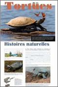 Exposition Tortues Histoires naturelles