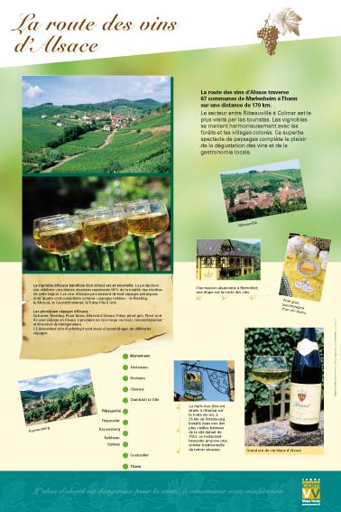 La route des vins d'Alsace