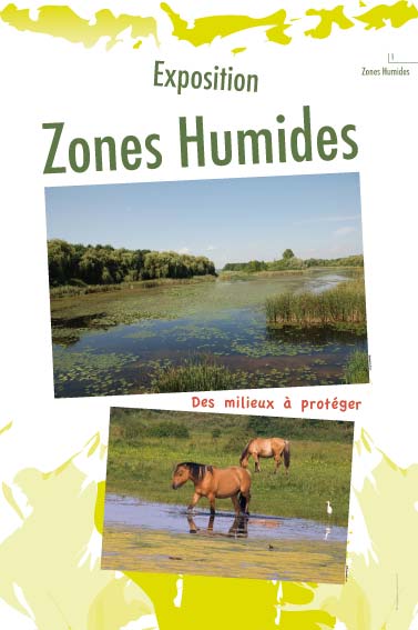 Exposition Zones Humides