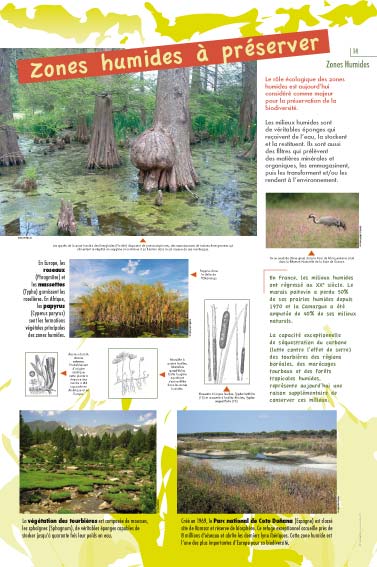 Zones humides à préserver