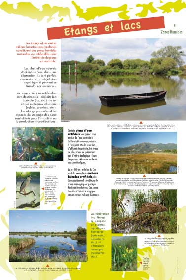 Etangs et lacs