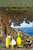 l'olivier et l'huile d'olive